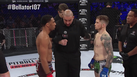 GIF by Bellator