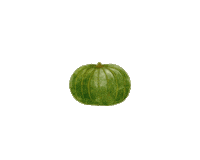 lisachiuqq food illustration pumpkin vegetable Sticker