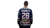 Ice Hockey Sticker by Fehervar AV19