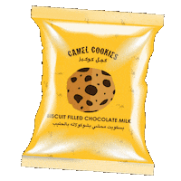 Abu Dhabi Yas Sticker by Camel Cookies