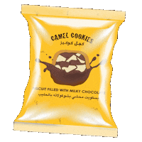 Abu Dhabi Yas Sticker by Camel Cookies