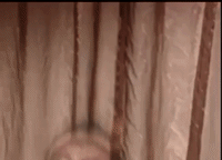 scared justice bao GIF
