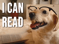 I Can Read Awww GIF by Sealed With A GIF