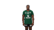 Celebration Rugby Sticker by USM Sapiac
