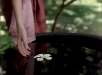 the overture thailand GIF