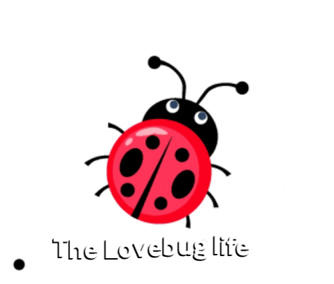 thelovebuglife giphygifmaker giphyattribution thelovebuyglife babysleep GIF