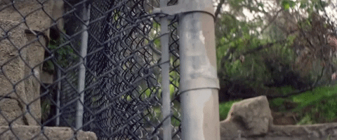 let you go GIF by The Chainsmokers