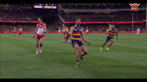 adelaidecrows giphyupload reactions celebrations adelaide crows GIF