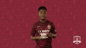 Shannon Gomez Soccer GIF by Sacramento Republic FC
