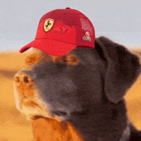 Depression Hamilton GIF