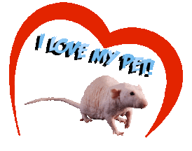 Guinea Pig Love Sticker