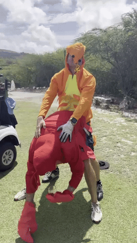 saltyseafoodcompanyofficial salty salty seafood saltyseafood GIF