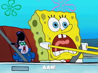 season 8 GIF by SpongeBob SquarePants