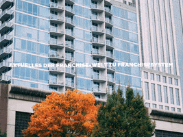 GIF by FranchiseONE.de