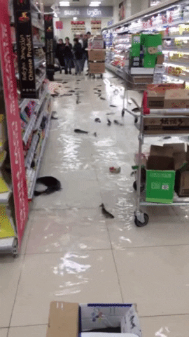 renaudleroux giphyupload GIF
