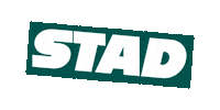 stadhaarlem stad stichting stichtingstad stadlogo Sticker
