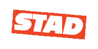 stadhaarlem alkmaar stad stichting stichtingstad Sticker