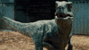 chris pratt velociraptor GIF