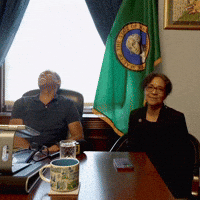 Washington Dc Congresswoman GIF by Respective