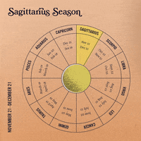 Zodiac Sign Astrology GIF by Sanctuary