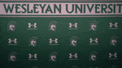 Iwuwvb24 GIF by iwusports