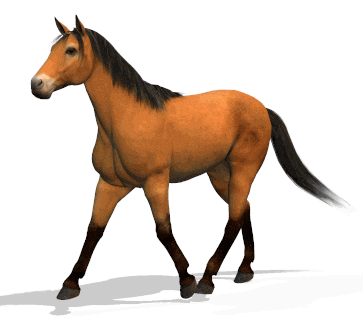 horse STICKER