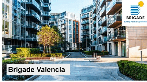 brigadevalencia0 giphyupload GIF