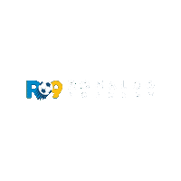 R9 R9Academy Sticker by Ronaldo Academy