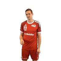 swisshandball_official wink handball you listen Sticker