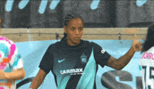 Gotham GIF by National Women's Soccer League