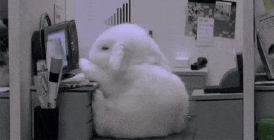 work GIF