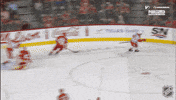 Happy Anaheim Ducks GIF by NHL