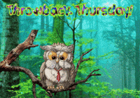 Owls Expressions GIF