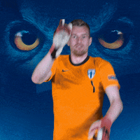 Happy Euro Cup GIF by Huuhkajat