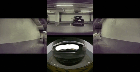 DaveRuijter giphygifmaker GIF