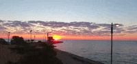 chicago illinois GIF