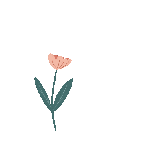 denizbulbulart giphyupload pink flower flowers Sticker