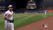 Major League Baseball Sport GIF by MLB