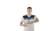 Soccer Hamburg Sticker by HSV