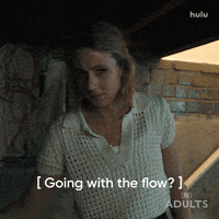 Fx Networks Hulu GIF by Adults