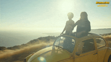 woo hoo john cena GIF by Bumblebee