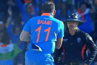Virat Kohli Shami GIF