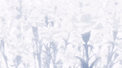 Tokyo Ghoul GIF