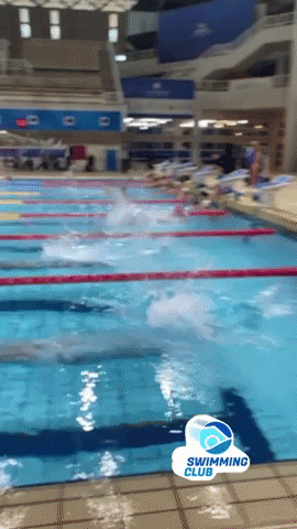 Training Experience GIF by SwimmingClub