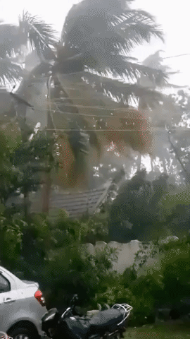 Cyclone Gaja Descends on Pudukkottai, India