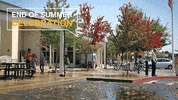hondaendofsummer GIF by Central Valley Honda Dealers