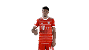 Noussair Mazraoui Yes Sticker by FC Bayern Munich