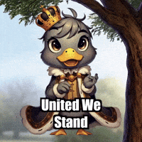 United We Stand Unity GIF by sirduckbeth