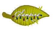Fun Camping Sticker by KITEYLOOPY