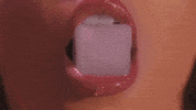 GIF by HARLOE